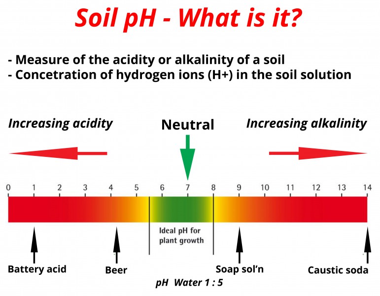 Soil3